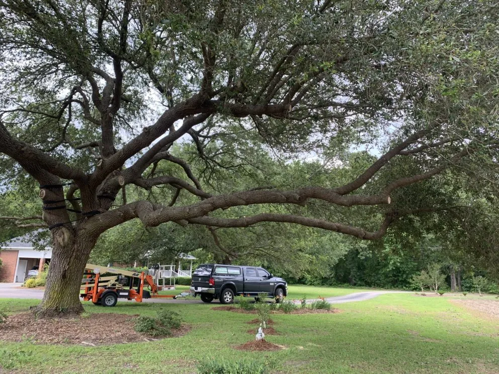 Top-rated yard cleanup service for residential properties across Johnsonville, SC - Boyd’s Mowing & More