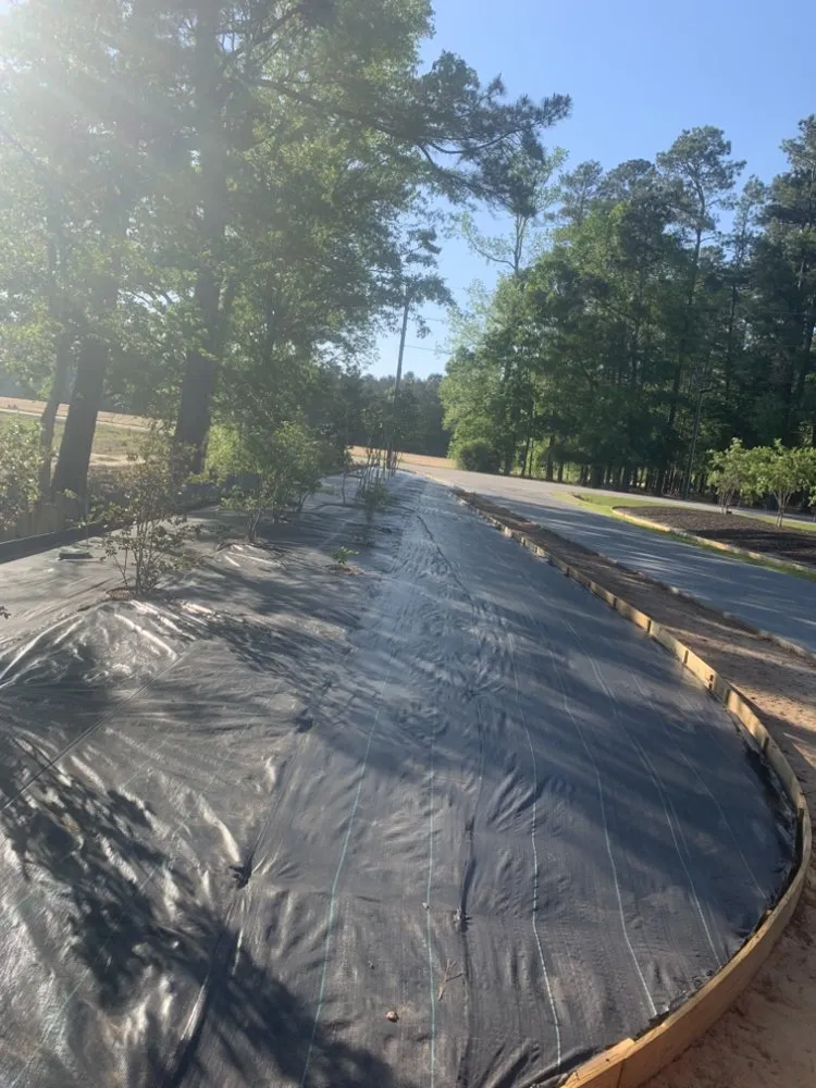 Trusted lawn mowing service experts serving Johnsonville, SC - Boyd’s Mowing & More