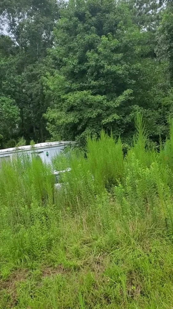 Local yard maintenance in Johnsonville, SC - Boyd’s Mowing & More