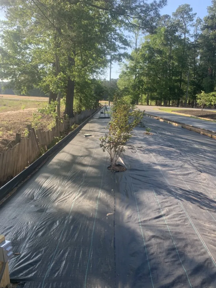 Trusted landscaping services in Johnsonville, SC by Boyd’s Mowing & More