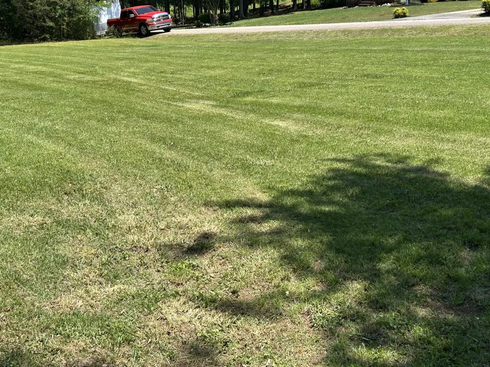 Reliable lawn mowing service near you across Anderson, SC - Boyd’s Rich Landscaping & Pressure Washing