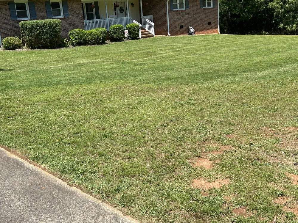 Reliable landscape design for outdoor upgrades in Anderson, SC by Boyd’s Rich Landscaping & Pressure Washing