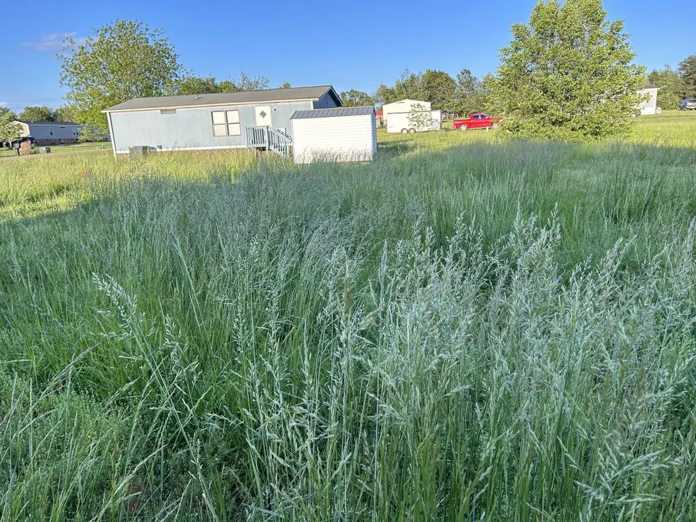 Expert outdoor landscaping in Anderson, SC - Boyd’s Rich Landscaping & Pressure Washing