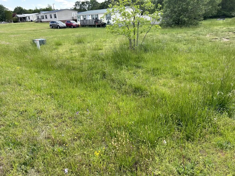 Custom outdoor landscaping near you across Anderson, SC - Boyd’s Rich Landscaping & Pressure Washing