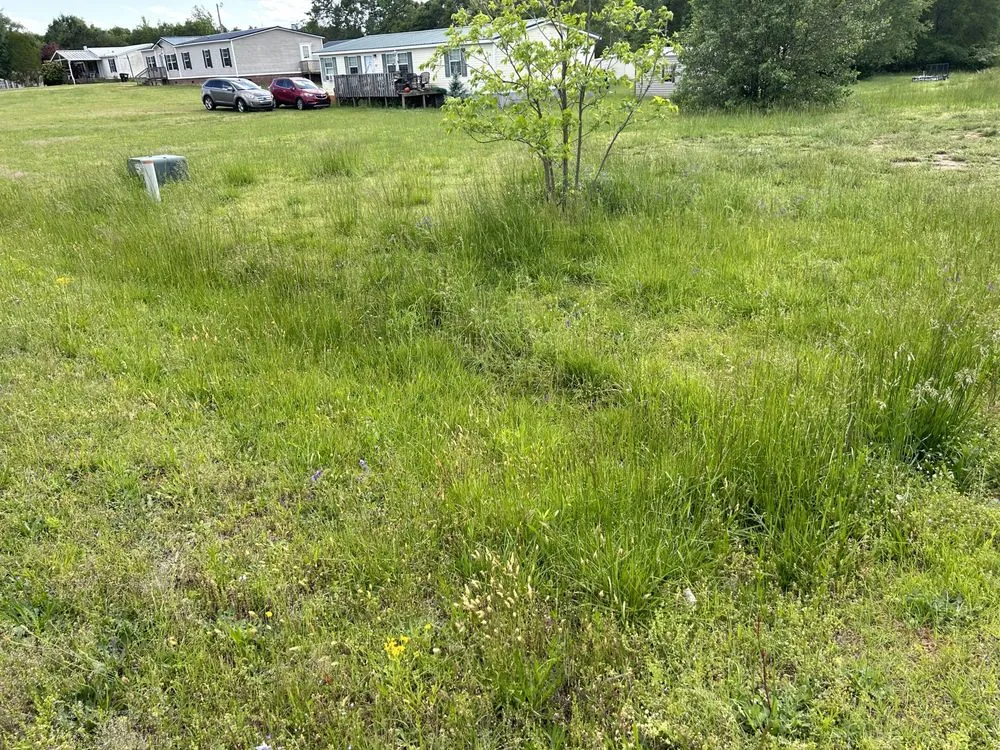 Custom yard maintenance in Anderson, SC - Boyd’s Rich Landscaping & Pressure Washing