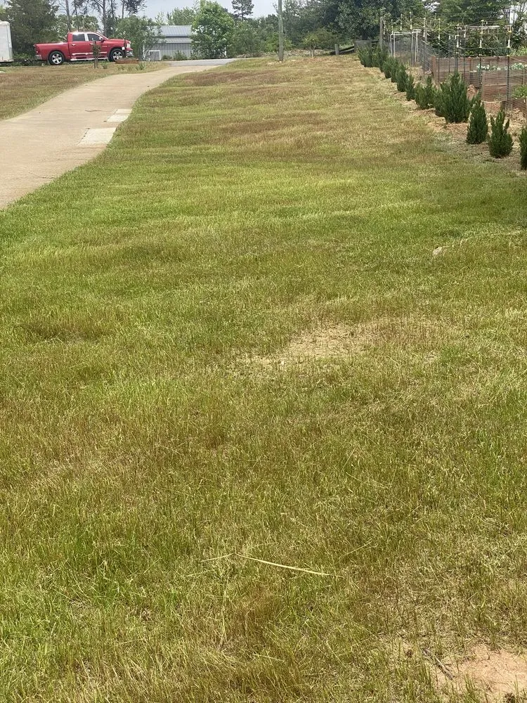 Professional landscaping services in Anderson, SC by Boyd’s Rich Landscaping & Pressure Washing