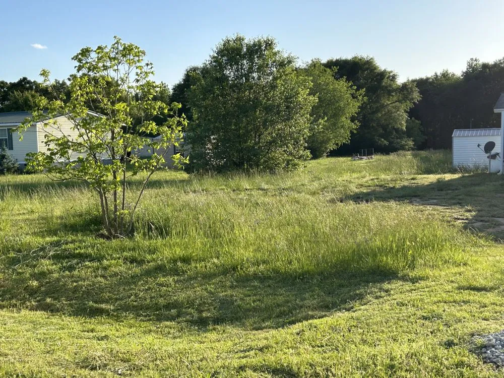 Professional landscaping services in Anderson, SC - Boyd’s Rich Landscaping & Pressure Washing