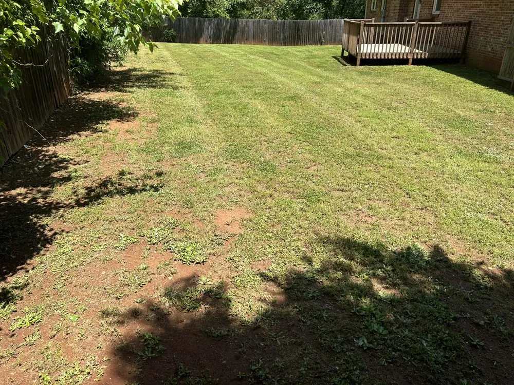 Professional landscape installation for outdoor upgrades in Anderson, SC by Boyd’s Rich Landscaping & Pressure Washing