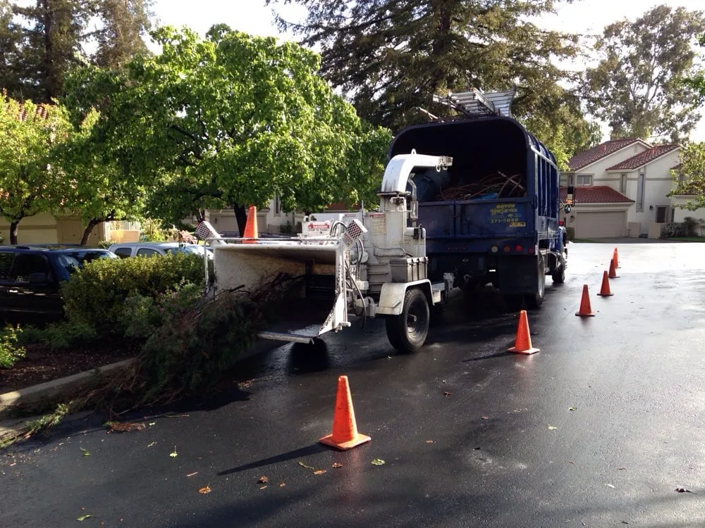Professional lawn mowing service in Campbell, CA - Boyd's Tree Service