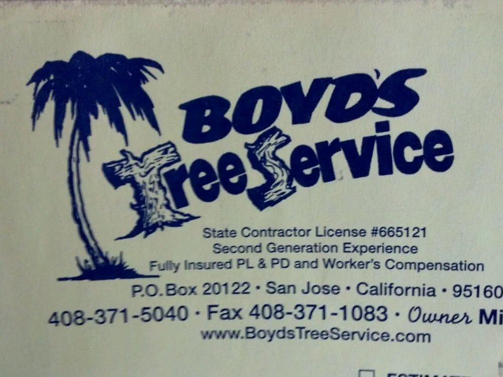 Professional yard maintenance for residential properties across Campbell, CA - Boyd's Tree Service