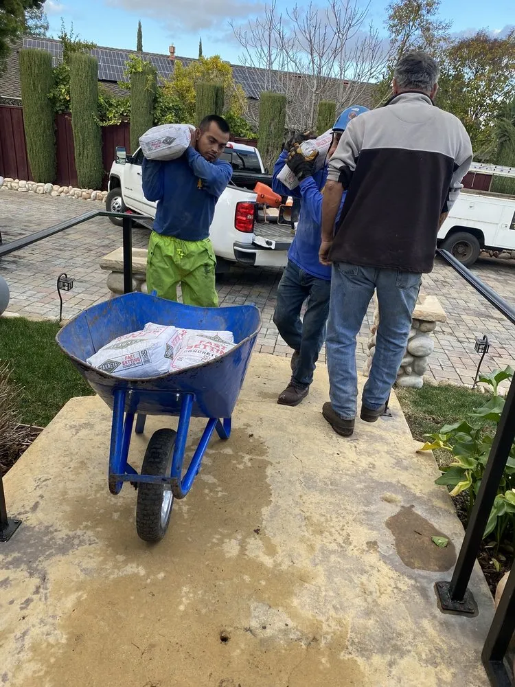 Custom yard maintenance in Campbell, CA - Boyd's Tree Service