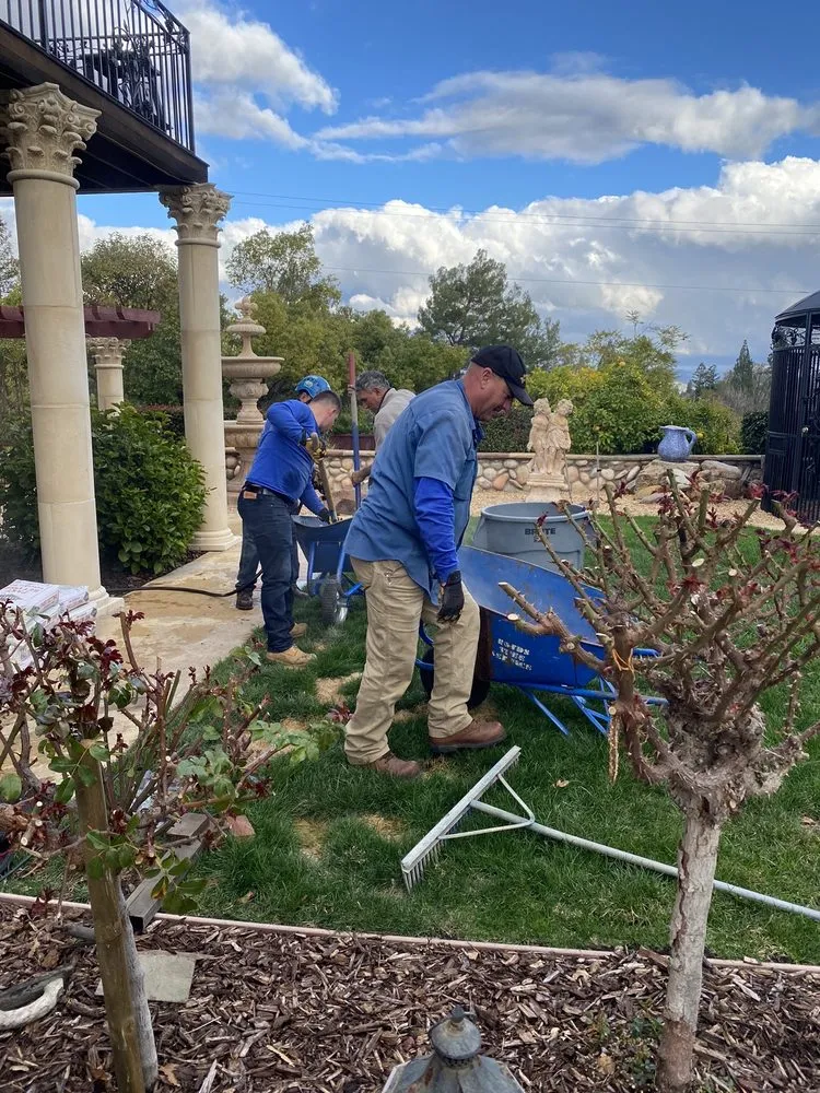 Affordable residential landscaping experts serving Campbell, CA - Boyd's Tree Service