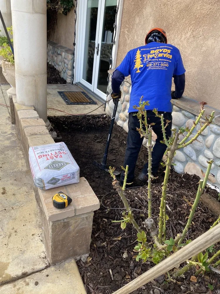 Reliable lawn care service in Campbell, CA - Boyd's Tree Service