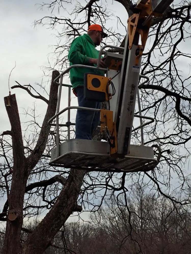 Affordable residential landscaping with custom design across Cincinnati, OH - Boyles Outdoor Services