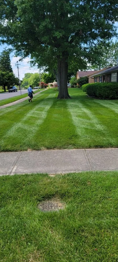 Trusted lawn mowing service in Cincinnati, OH - Boyles Outdoor Services