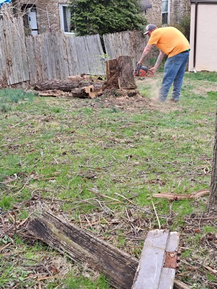 Trusted yard cleanup service for residential properties in Cincinnati, OH by Boyles Outdoor Services