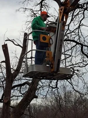 Boyles Outdoor Services Logo