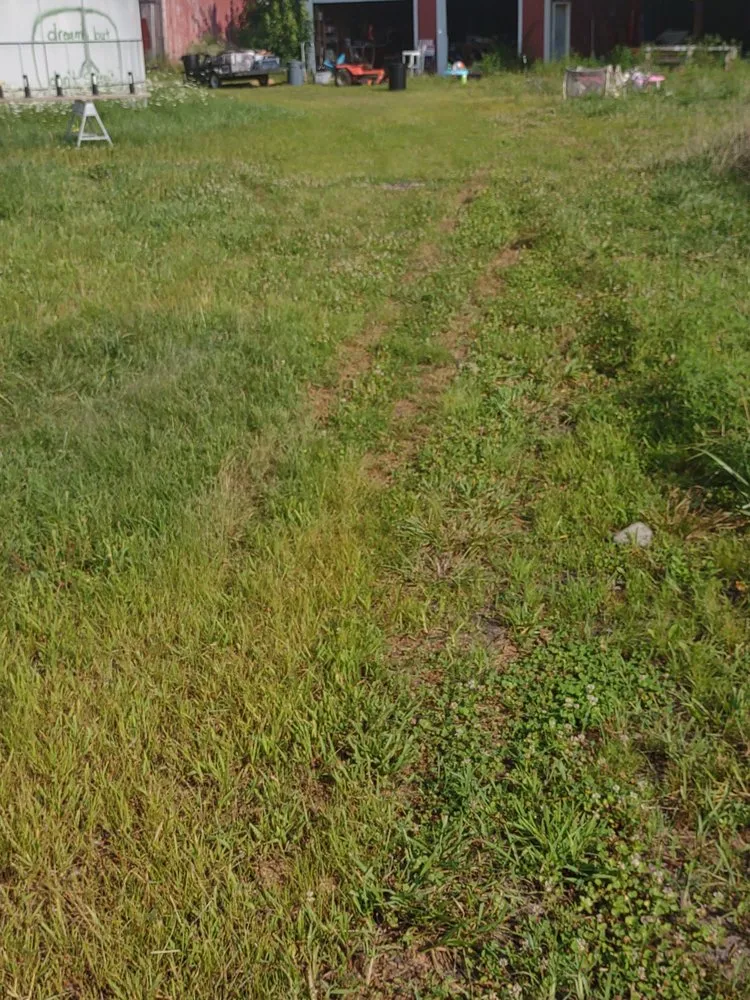 Trusted landscaping services for year-round maintenance across Columbus, OH - Boysaw maintenance consultants