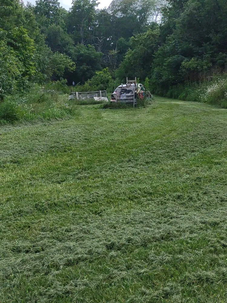 Expert lawn mowing service in Columbus, OH by Boysaw maintenance consultants