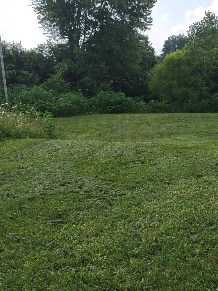 Trusted landscaping services for residential properties across Columbus, OH - Boysaw maintenance consultants