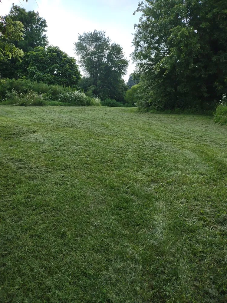 Top-rated yard cleanup service for residential properties in Columbus, OH by Boysaw maintenance consultants