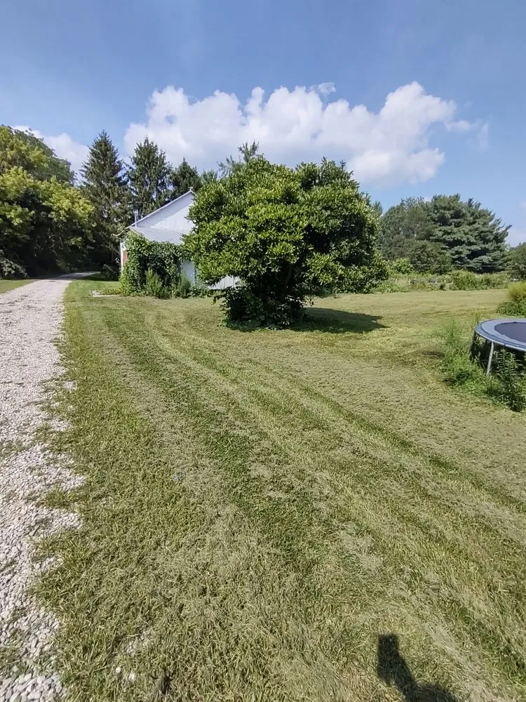 Professional landscape installation in Columbus, OH by Boysaw maintenance consultants