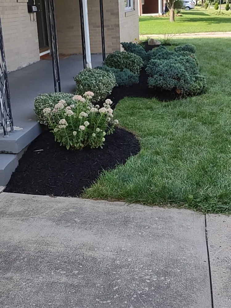 Local yard cleanup service in Columbus, OH - Boysaw maintenance consultants
