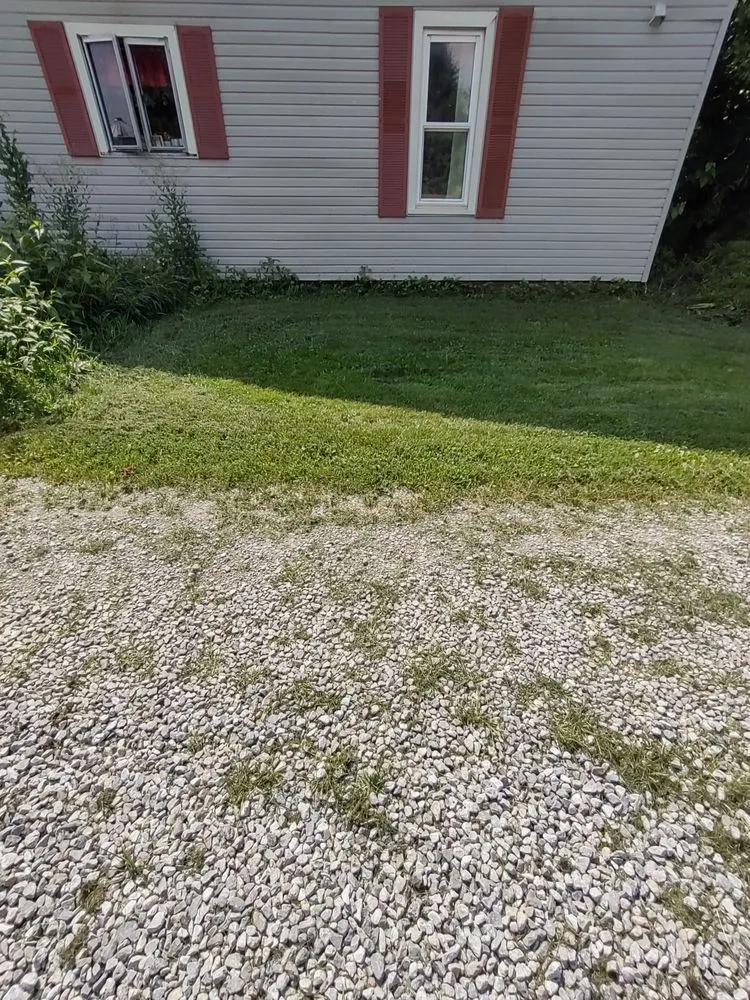 Top-rated yard cleanup service in Columbus, OH - Boysaw maintenance consultants