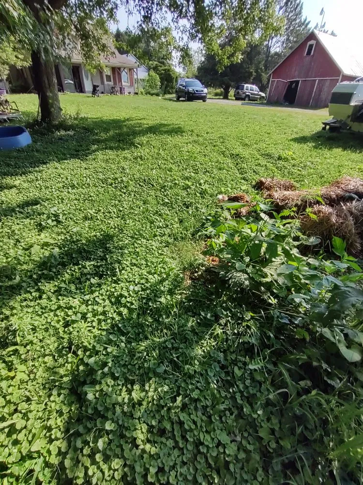 Affordable landscape design experts serving Columbus, OH - Boysaw maintenance consultants