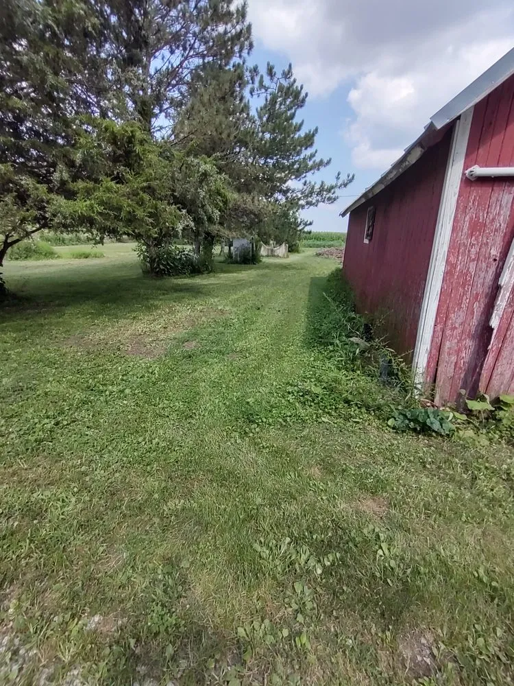 Trusted yard cleanup service in Columbus, OH by Boysaw maintenance consultants