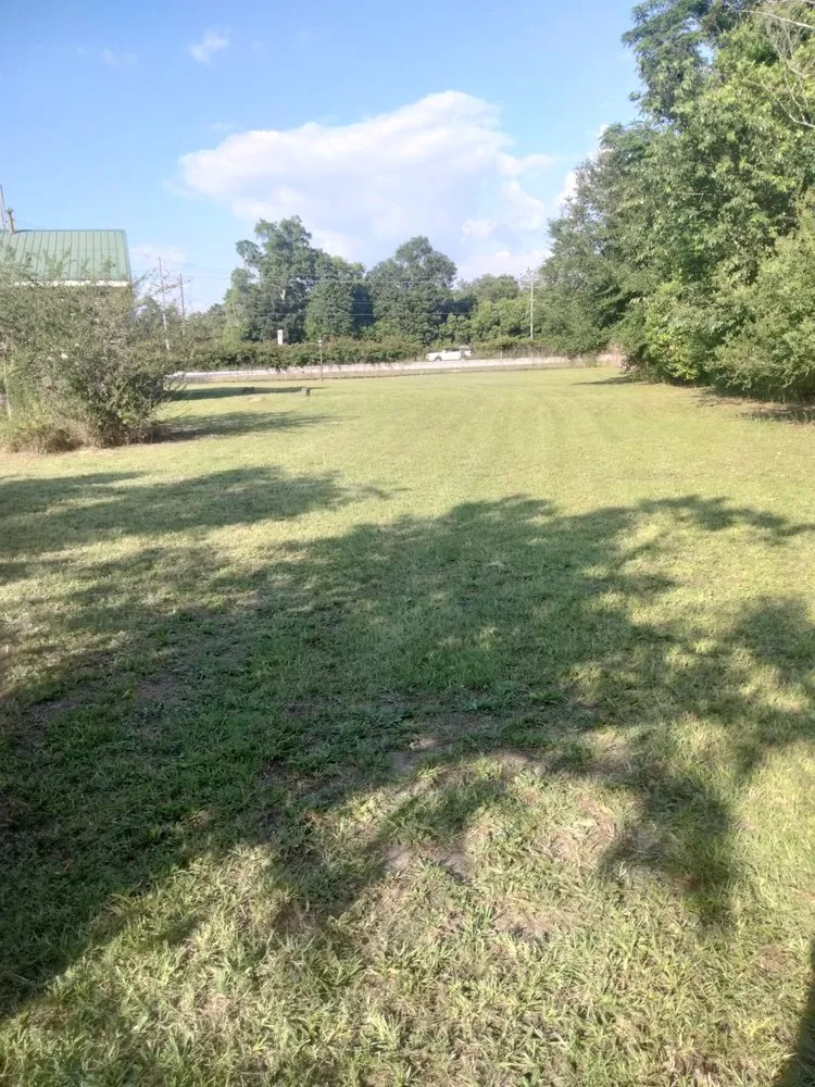 Trusted outdoor landscaping experts serving Beech Island, SC - Boyz Cutting And More