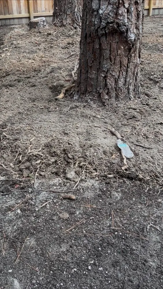 Expert lawn care service for year-round maintenance across Virginia Beach, VA - Bozard's Landscaping and Lawn Care