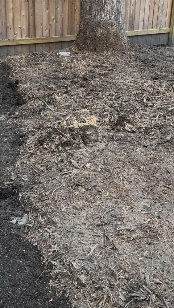 Affordable landscape design in Virginia Beach, VA - Bozard's Landscaping and Lawn Care