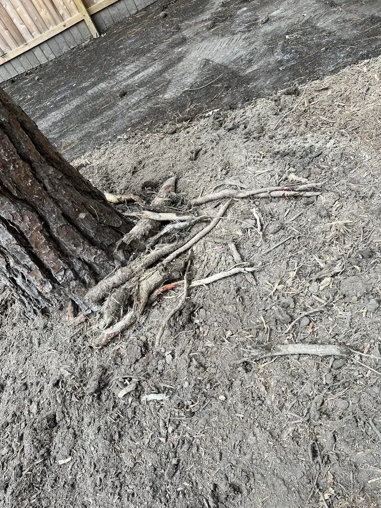 Custom yard maintenance experts serving Virginia Beach, VA - Bozard's Landscaping and Lawn Care