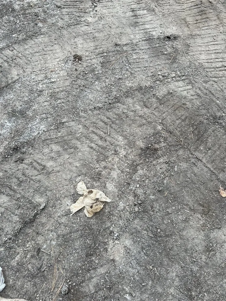 Professional outdoor landscaping in Virginia Beach, VA - Bozard's Landscaping and Lawn Care