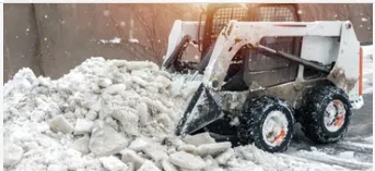 Professional yard cleanup service in Bozeman, MT by Bozeman Landscape Solutions