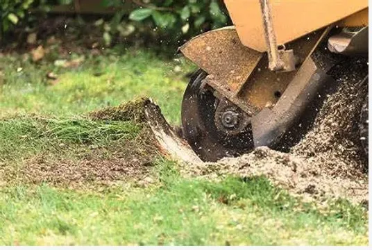 Trusted landscape installation with custom design across Bozeman, MT - Bozeman Landscape Solutions