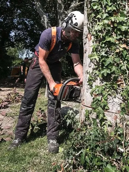 Local yard cleanup service in Bozeman, MT by Bozeman Landscape Solutions