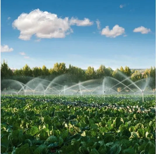 Top-rated lawn mowing service in Bozeman, MT - Bozeman Landscape Solutions