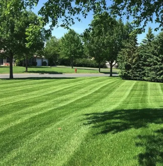 Reliable yard maintenance experts serving Bozeman, MT - Bozeman Landscape Solutions