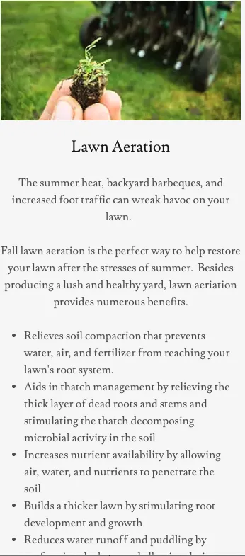 Trusted lawn care service in Bozeman, MT - Bozeman Landscape Solutions