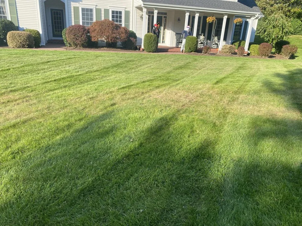 Trusted yard cleanup service in Simsbury, CT by Bozscapes