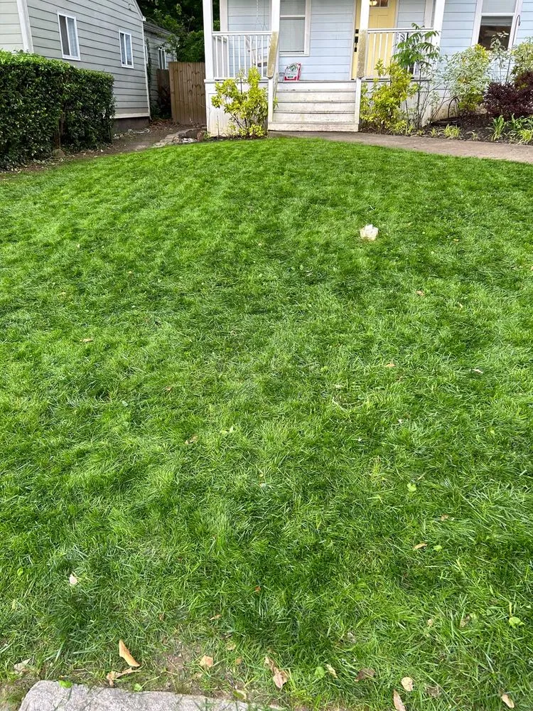 Custom yard cleanup service in Atlanta, GA by Bozz Lawn Care