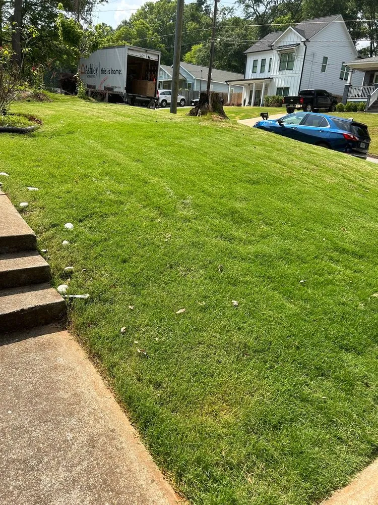 Local yard cleanup service in Atlanta, GA - Bozz Lawn Care