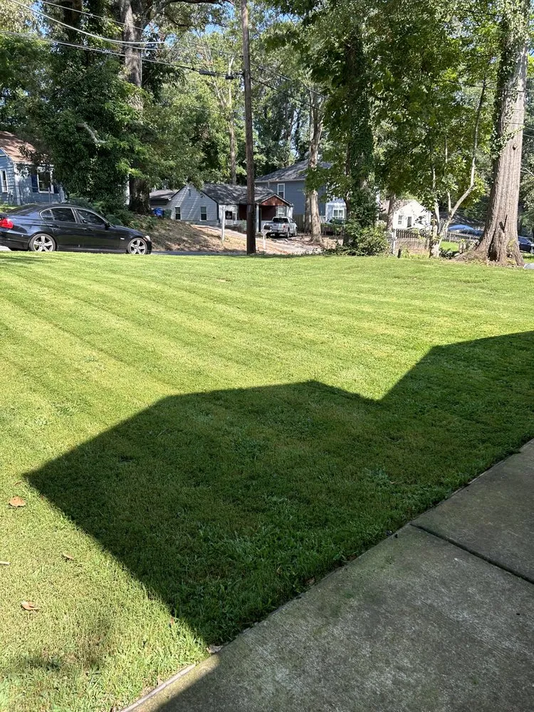Top-rated garden landscaping in Atlanta, GA by Bozz Lawn Care