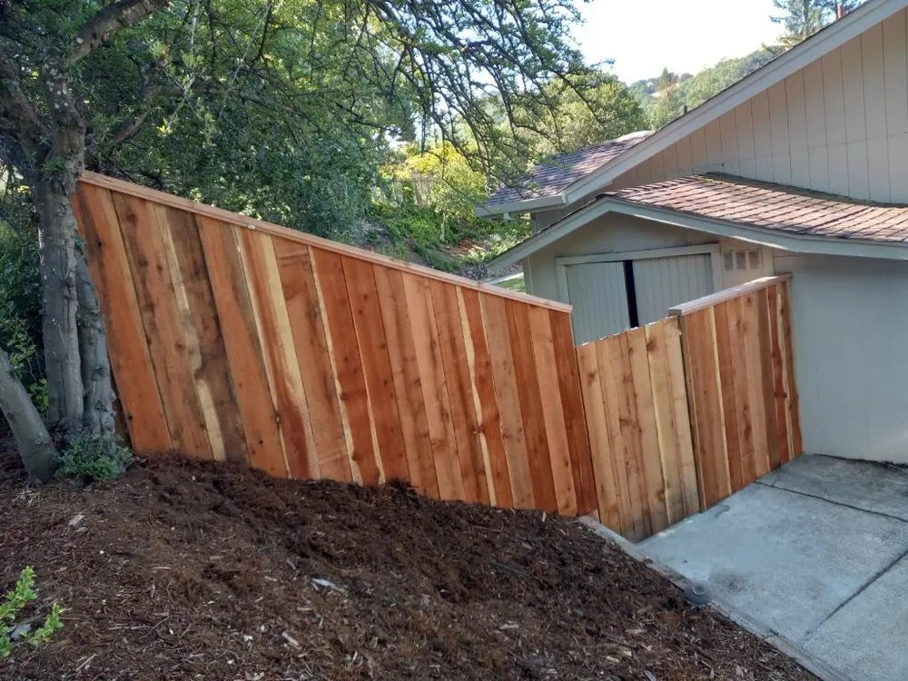 Trusted outdoor landscaping for residential properties across Martinez, CA - B&P Gardening Tree Service