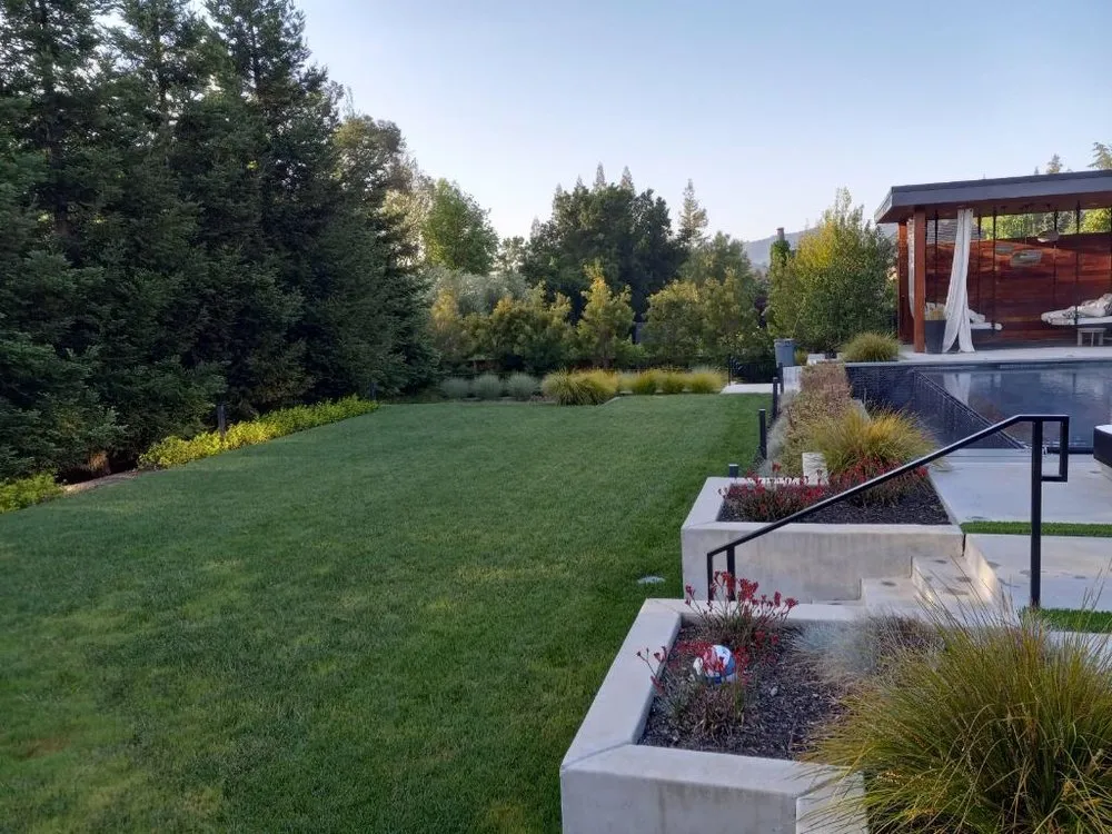 Expert lawn care service in Martinez, CA - B&P Gardening Tree Service