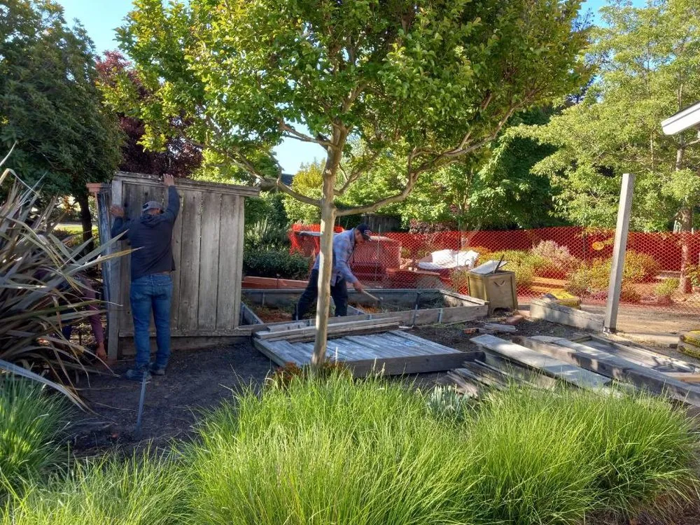Expert residential landscaping in Martinez, CA by B&P Gardening Tree Service