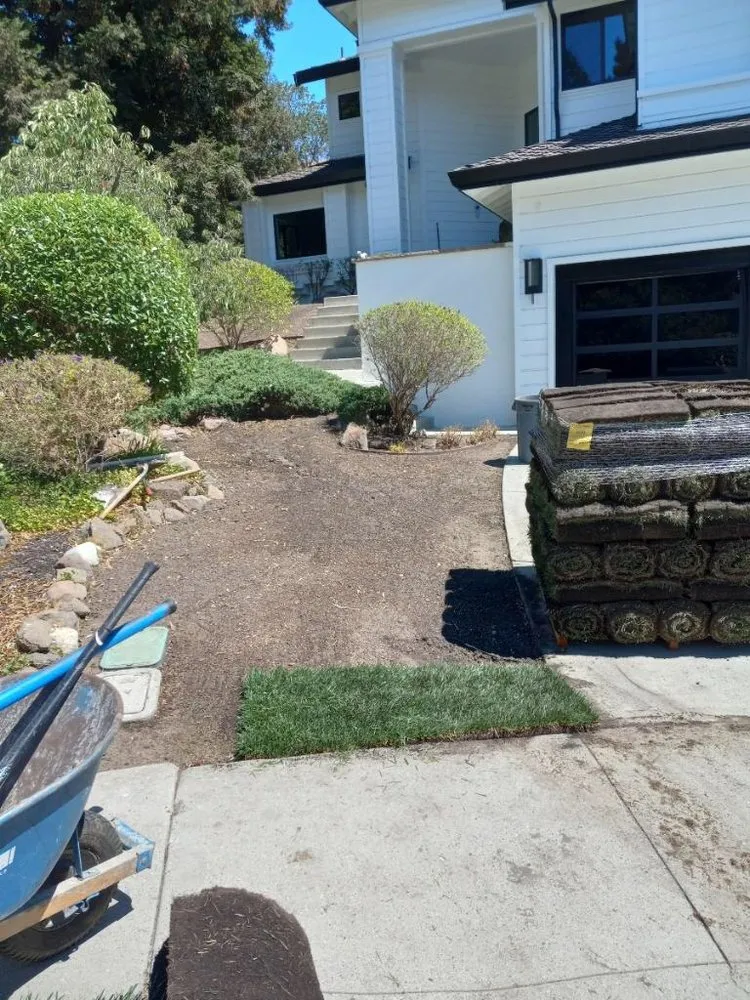 Reliable yard maintenance in Martinez, CA by B&P Gardening Tree Service