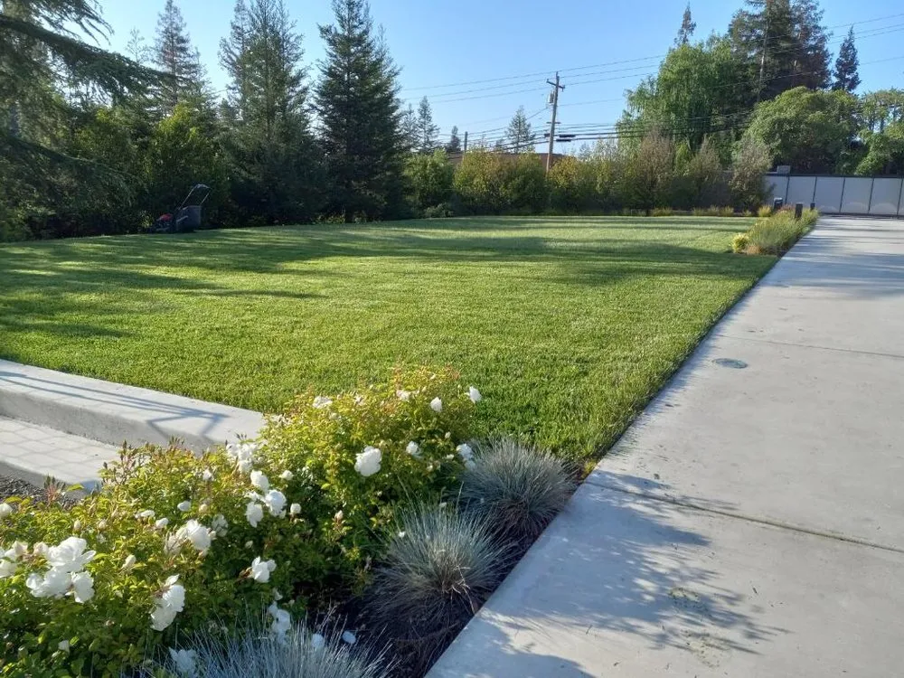 Trusted landscape installation for homes in Martinez, CA by B&P Gardening Tree Service